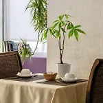 Anglade Hotel 3*